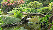 Photograph of a, beautiful, landscaped garden.